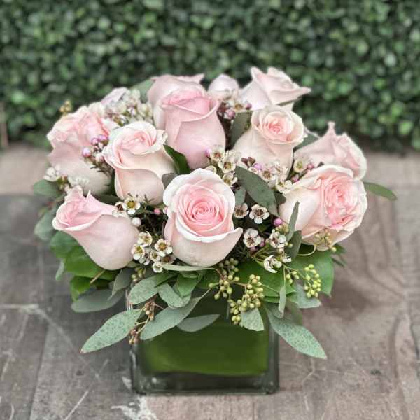 Pink roses arranged in a square glass vase with small white filler flowers