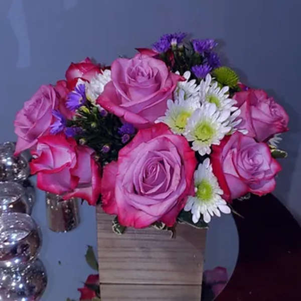 Pretty in purple