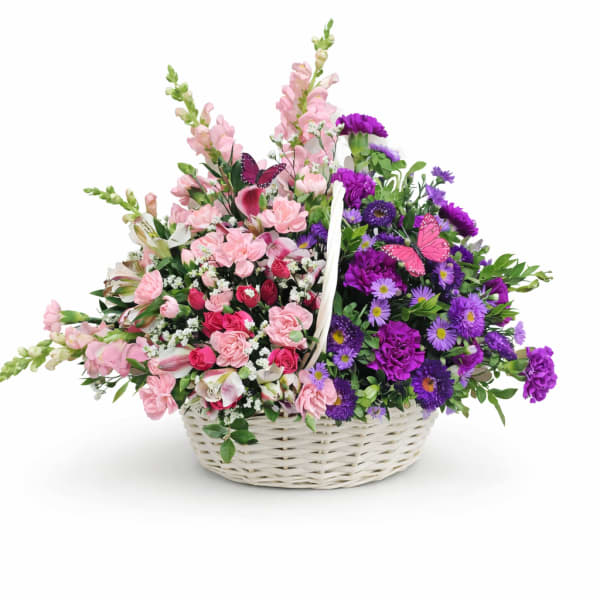 Pixie's Garden Song