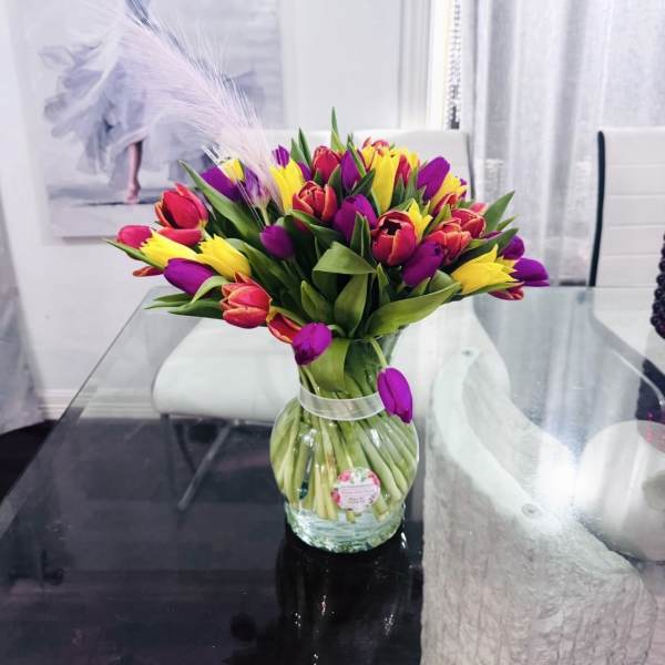Multicolor tulips