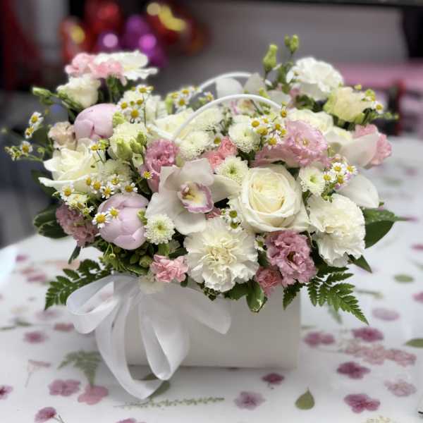 Pastel Bloom . The photo shows the standard size.