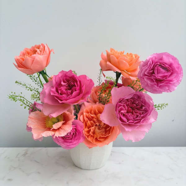 Warm Vibes