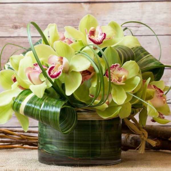 Green orchid arrangement in a glass vase with curled leaf accents