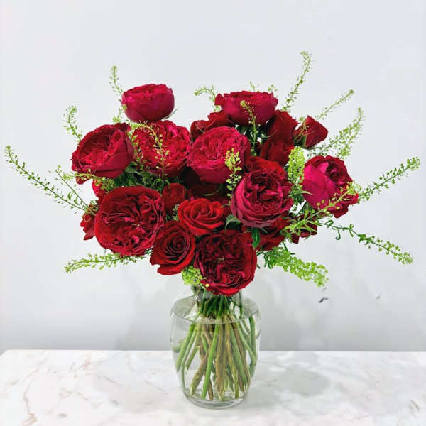 Red Queen