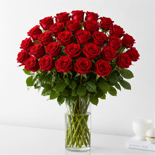 36 Red Roses