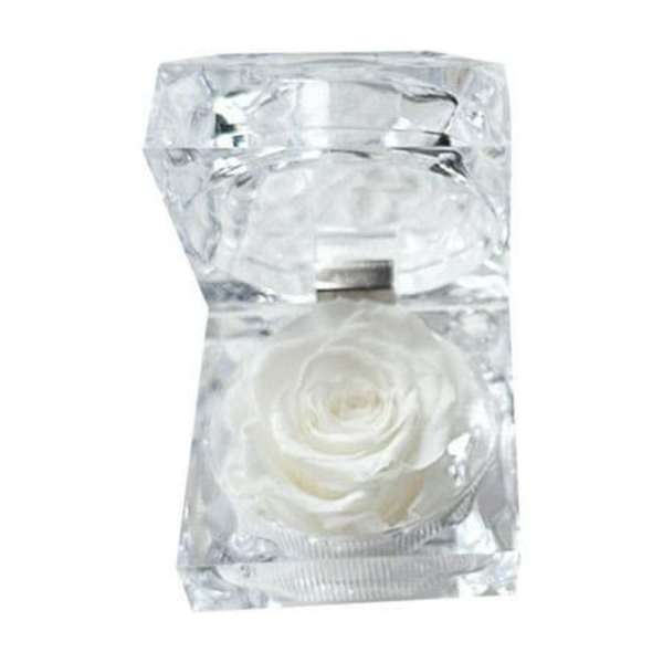 White rose encased in a clear faceted ice-like holder