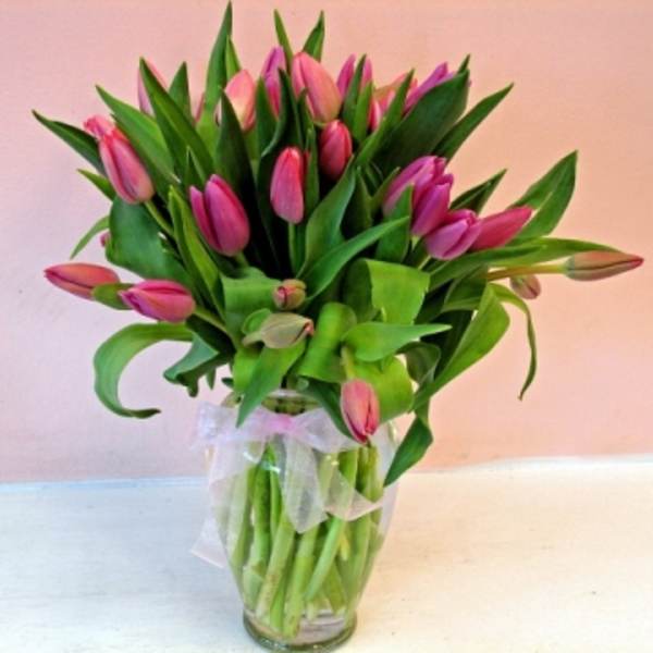 Pink tulip bouquet in a clear glass vase with a sheer ribbon