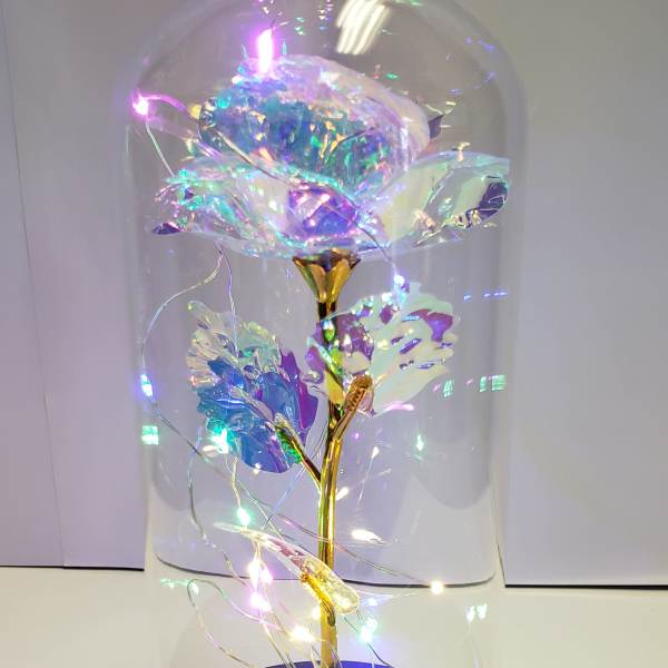 Iridescent rose under a clear dome with string lights