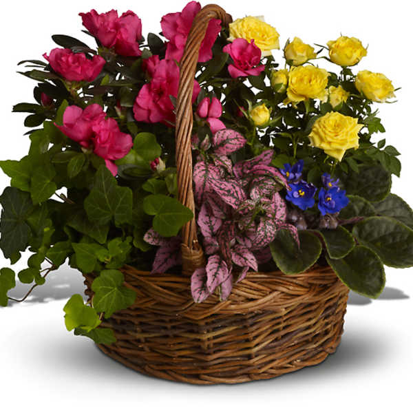 BLOOMING GARDEN BASKET