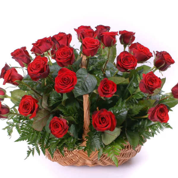 Basket of red roses with greenery