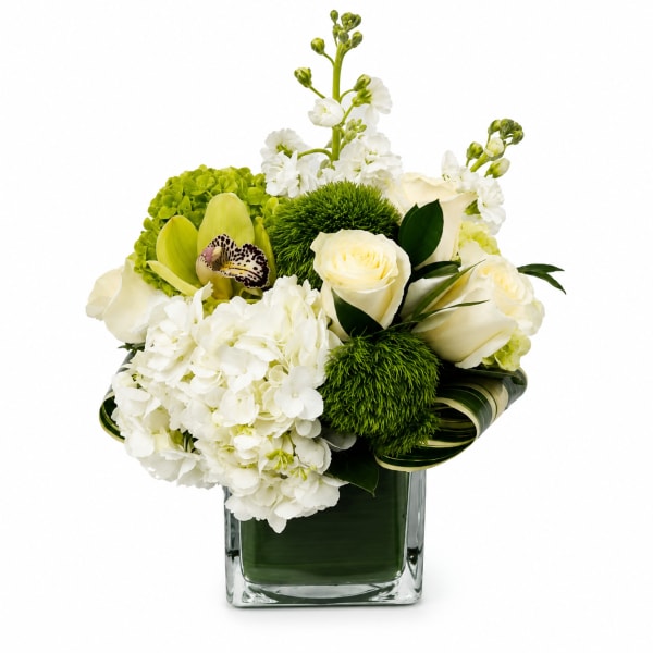 White roses and hydrangeas in a square glass vase with green accents