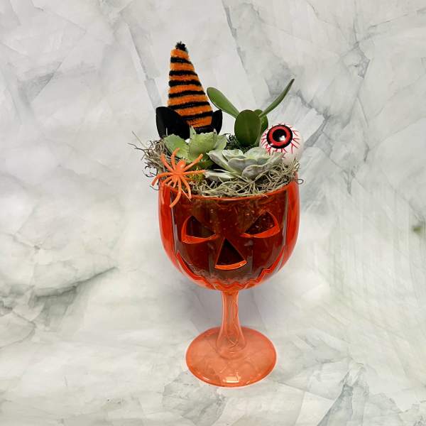 Halloween succulent arrangement in an orange jack-o'-lantern goblet