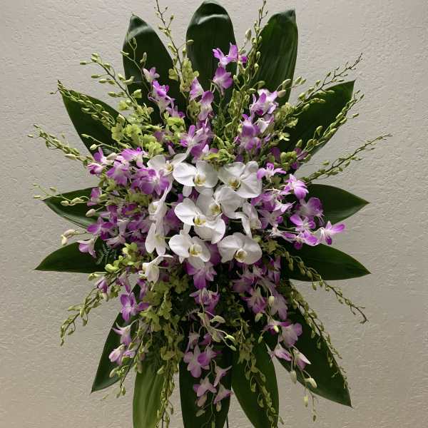Tall orchid arrangement with white and purple blooms on a stand