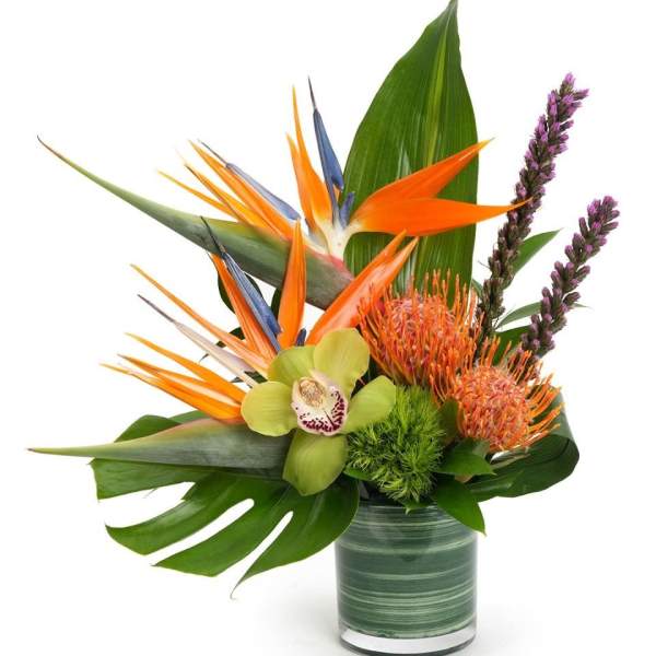 Tropical arrangement with birds of paradise, protea, orchid, and large leaves in a glass cylinder vase