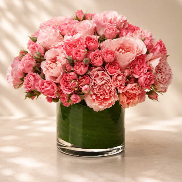 Blush Petal Romance