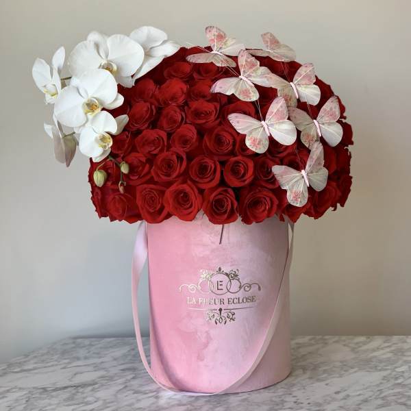 Butterfly With Reds