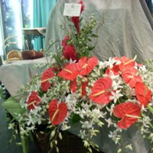 Sympathy Arrangements16