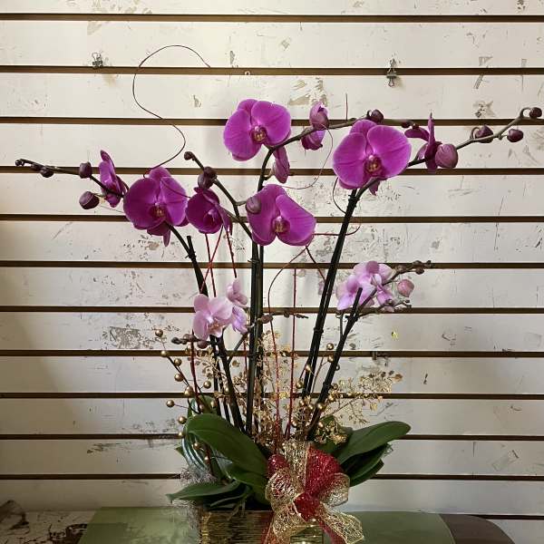 Pink orchid arrangement in a gold square vase with a decorative bow