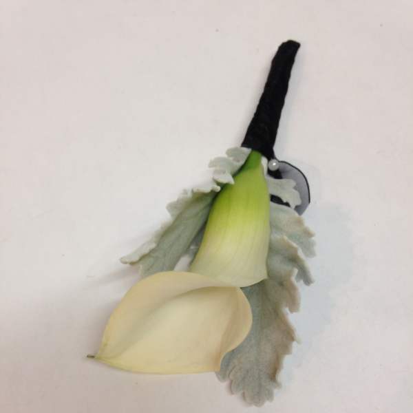White calla lily boutonniere with gray foliage and black ribbon wrap