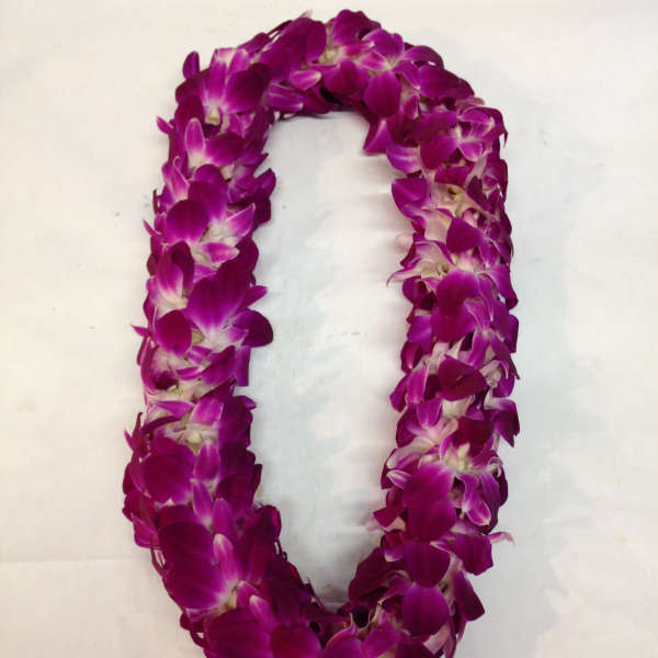 Purple orchid lei on a white background