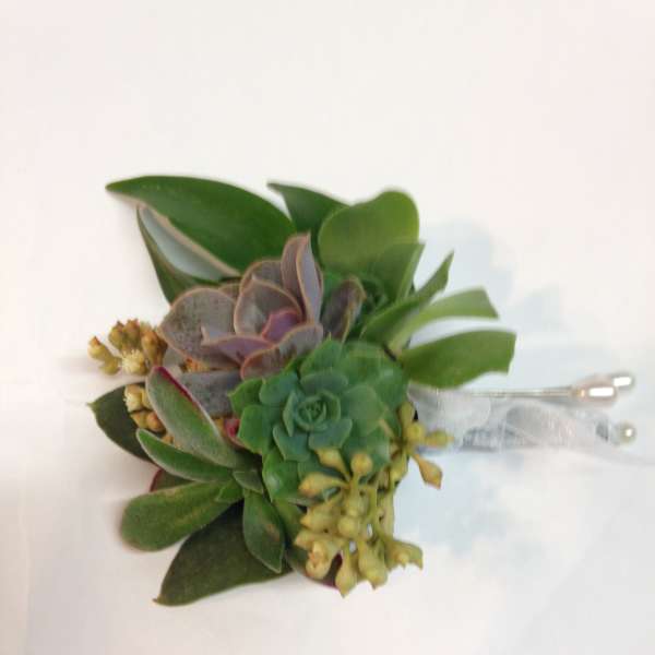 Succulent boutonniere with green and purple rosettes and a white ribbon tie