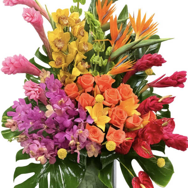 Tropical Extravagance