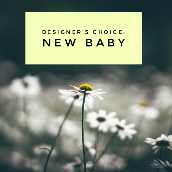 Daisy field with a "New Baby" sign