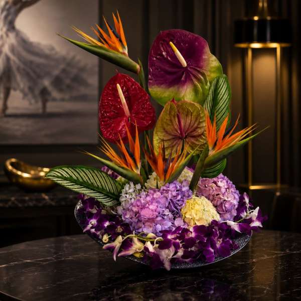 Tropical Flame of Paradise