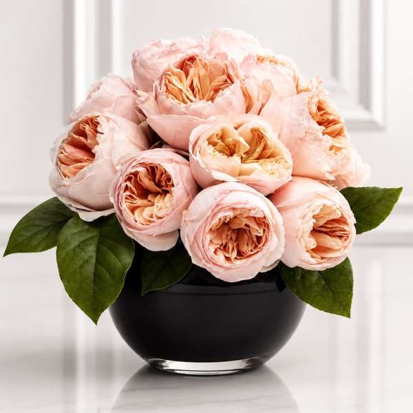 Champagne Garden Roses