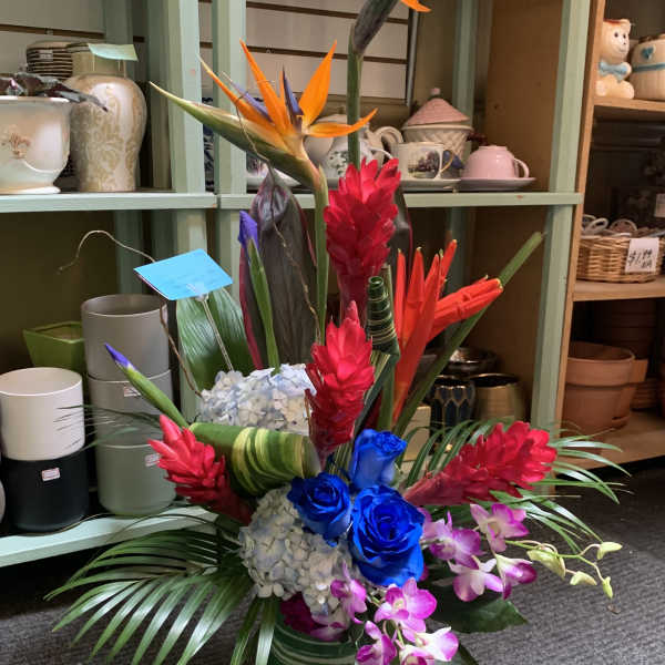 Tropical arrangement with bird of paradise, blue roses, orchids, and red ginger in a vase
