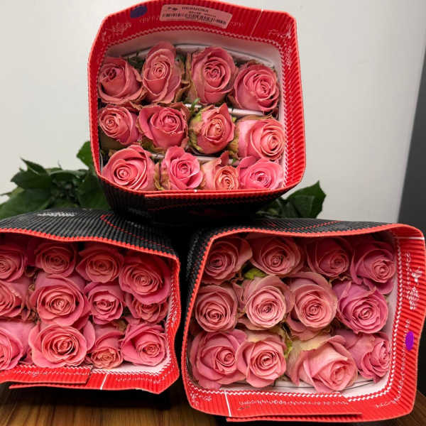 Bunch of hermosa roses