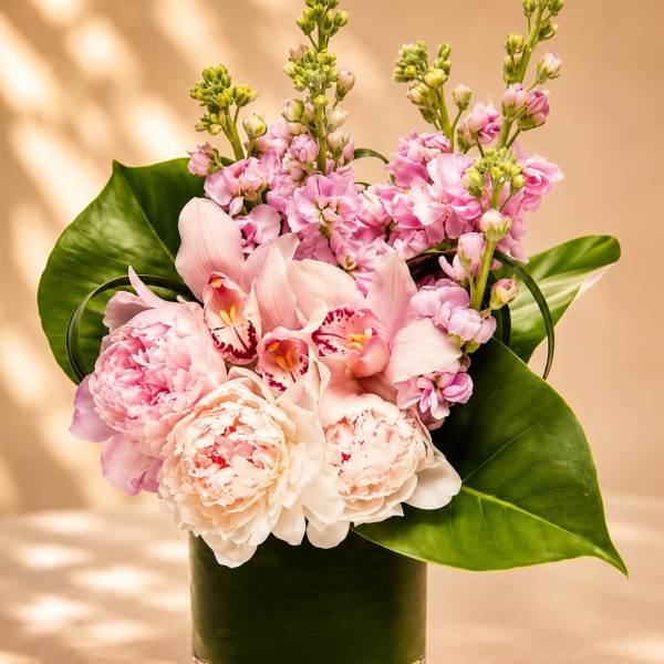 Pink Velvet Bloom