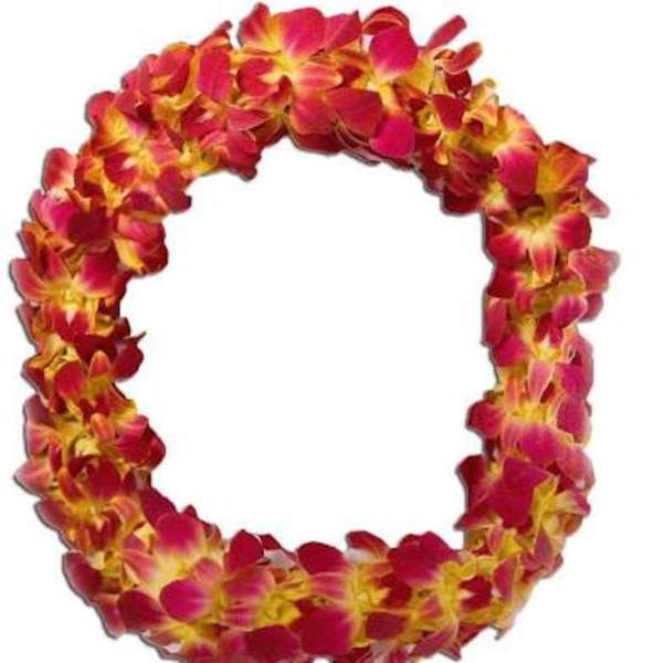 Pink and yellow flower lei garland on a white background