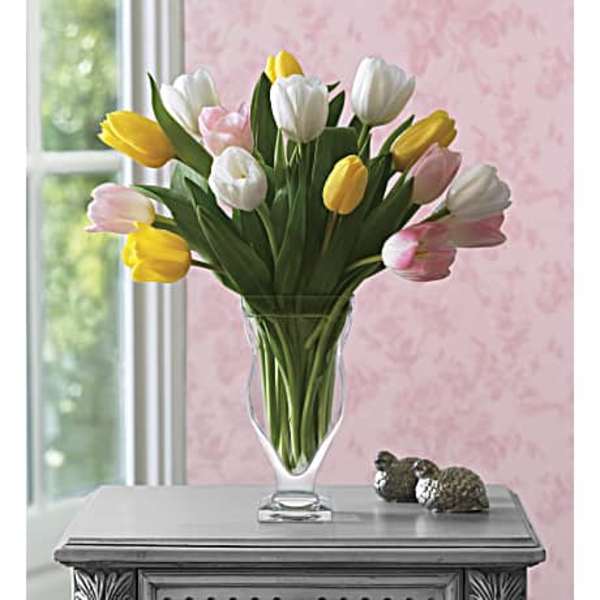 Bouquet of pink, white, and yellow tulips in a clear glass vase