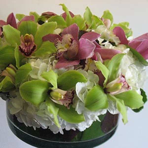 Green and pink orchid arrangement in a glass vase