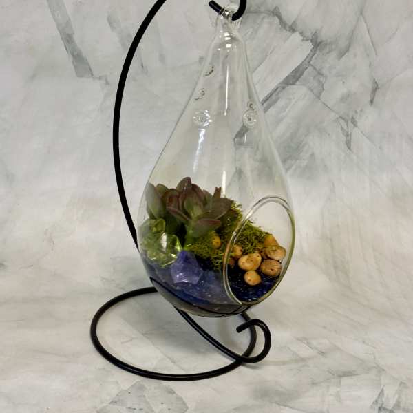 Hanging glass terrarium with succulents and stones on a black metal stand