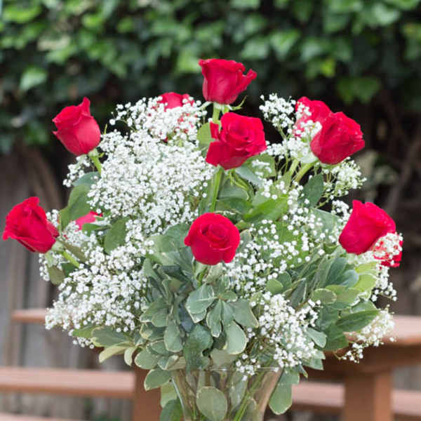 Red roses arranged with white baby's breath in a clear glass vase