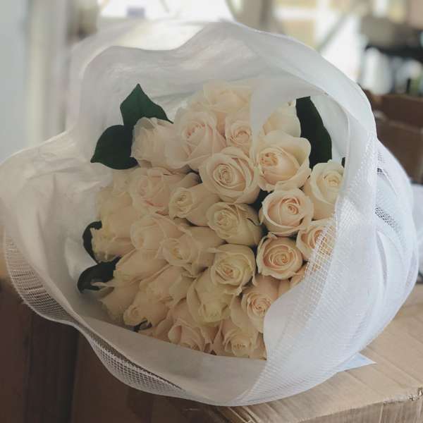 Bouquet of pale cream roses wrapped in white mesh paper