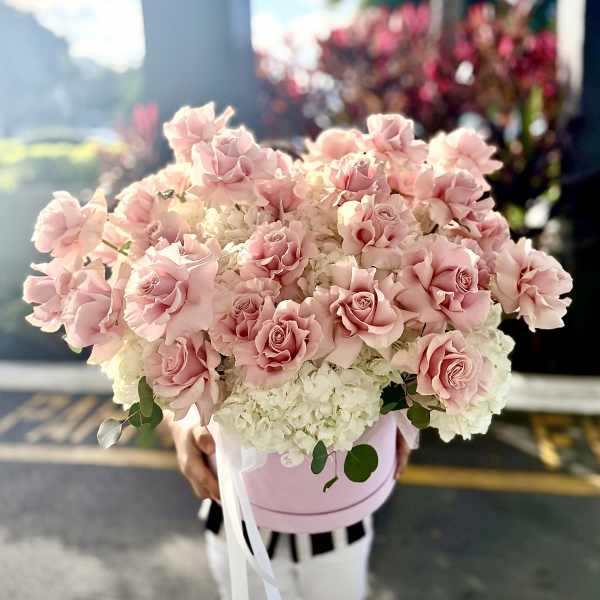 Sweet Marshmallow Lux