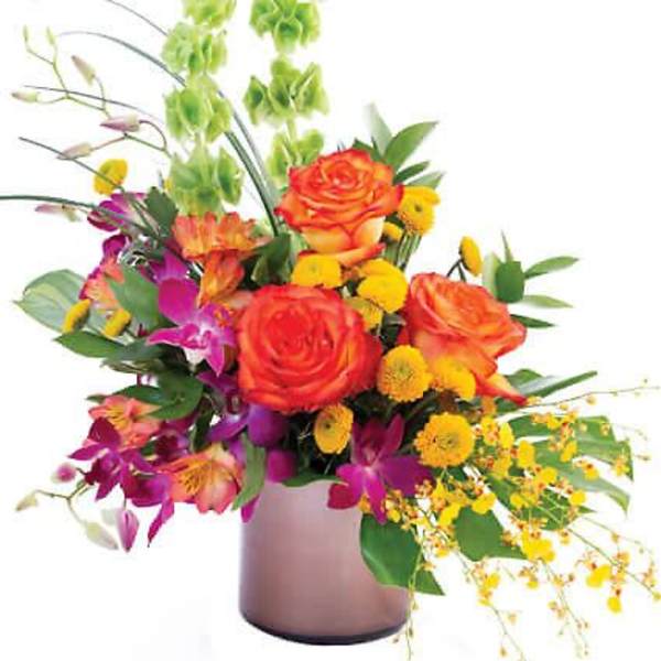 Orchid Rose Paradise