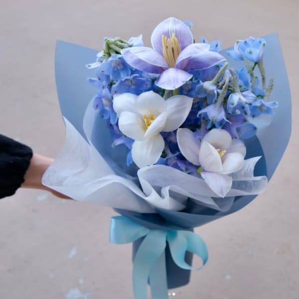 Blue Velvet Dream
