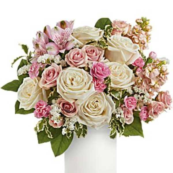 Pink and white roses arranged in a white vase