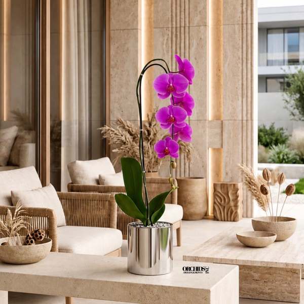 Purple Phalaenopsis Orchid Arrangement – Single Stem Signature Design
