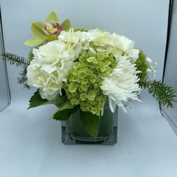Eternally Elegant