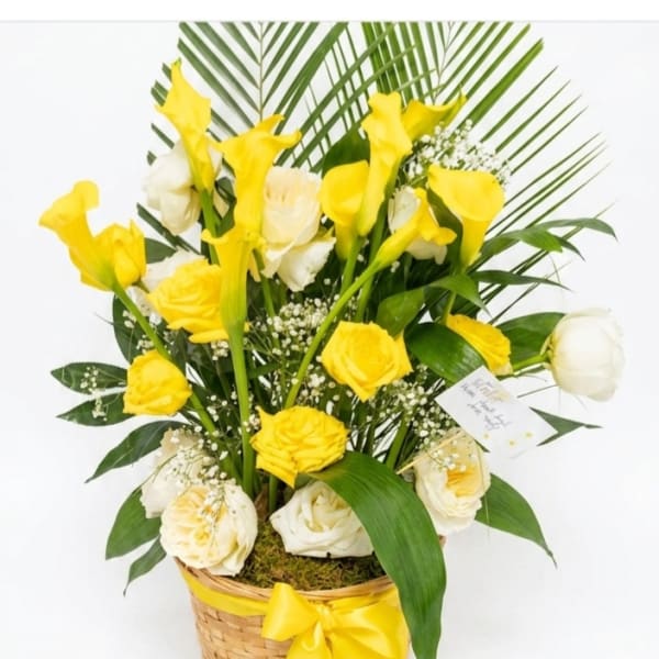 Golden serenity