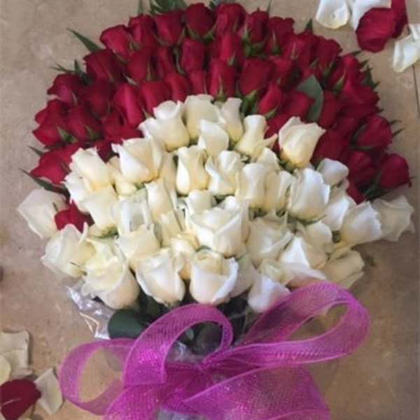 Bouquet of red and white roses tied with a pink ribbon