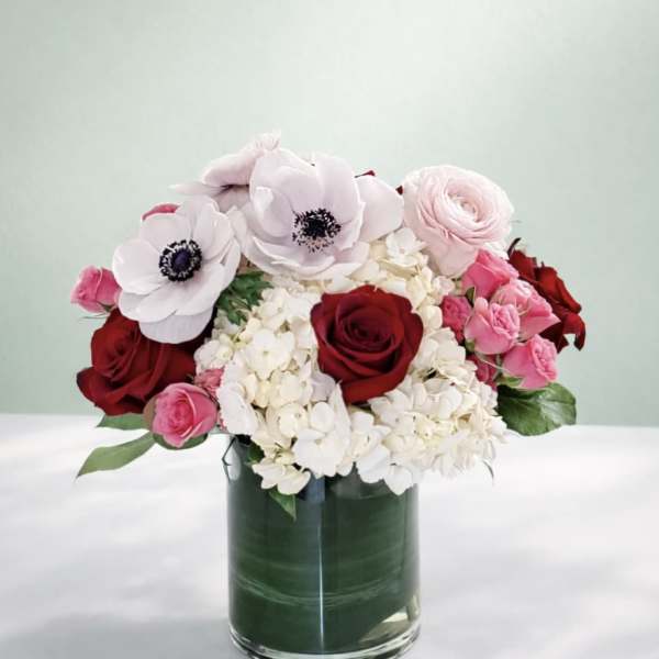 Anemone Kiss