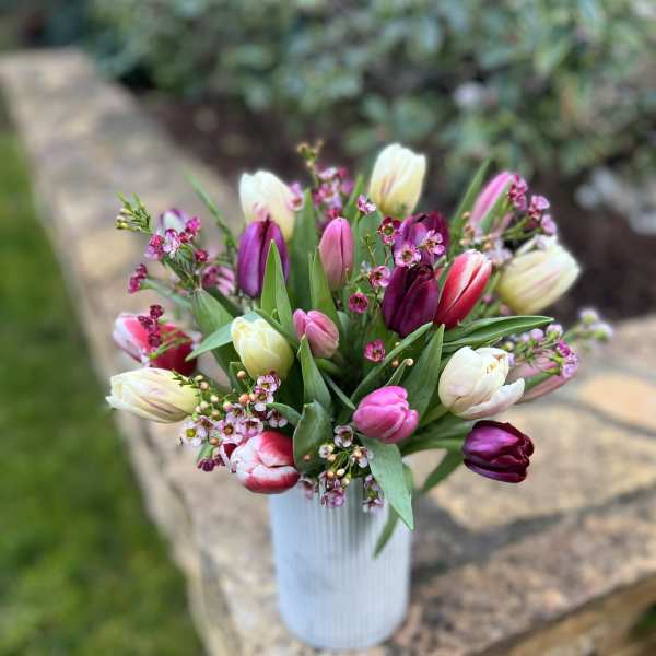 Springtime Tulips