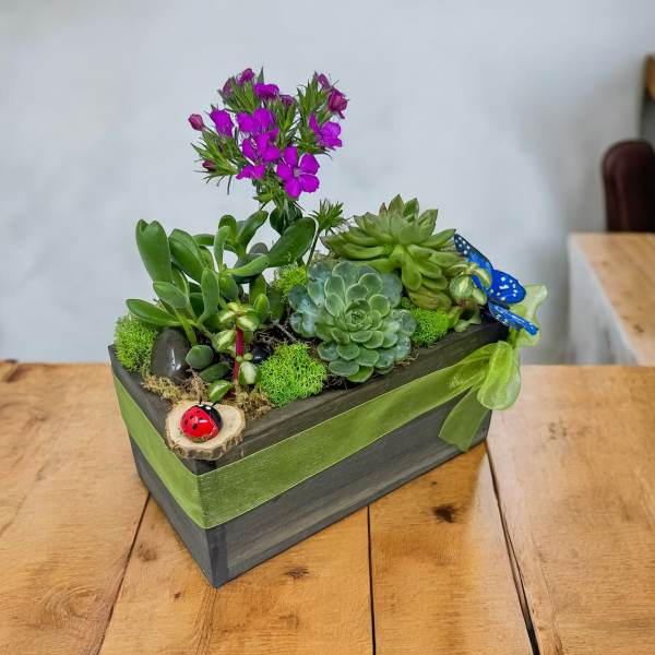 Succulent planter with purple flowers in a rectangular wooden box
