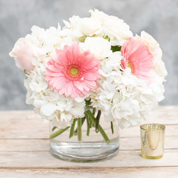 Blush